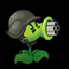 Catlingpea avatar
