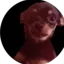 evin4521 avatar