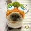 hubwee avatar