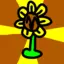 sunflower_2026 avatar
