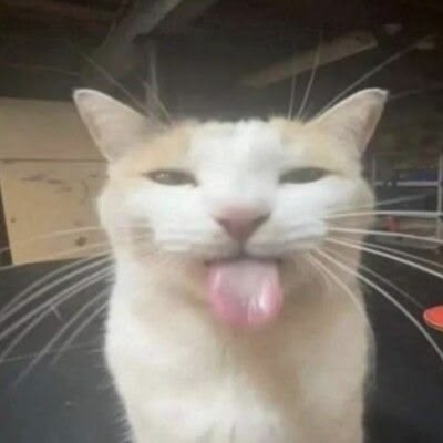 @Melona10_likeMelos09