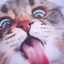 therooshudude avatar