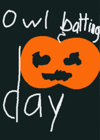 Owl batting day
