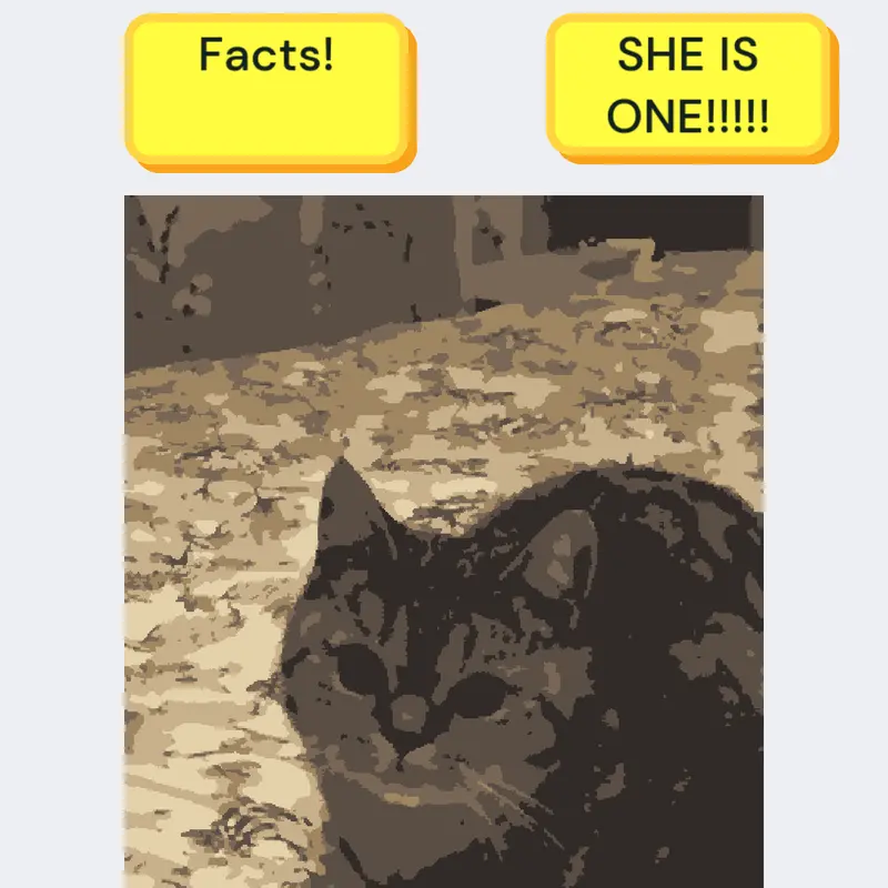MY CAT!!!!!! by @P0LAND_B4LL