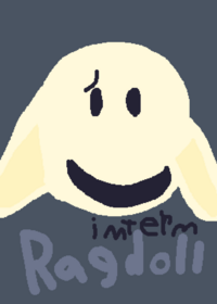 Intern Ragddoll