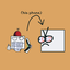 opname_Br avatar