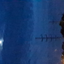 L1l4c_d4_f1h avatar