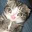 EZRAEZEZ avatar