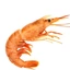 darealsrimpodev avatar