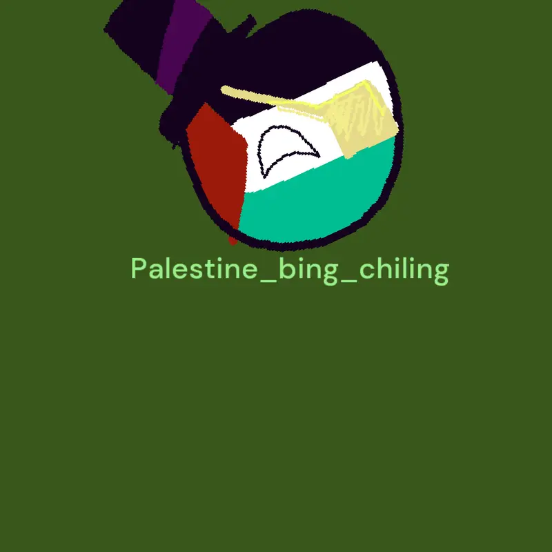Game by @palestine_bing_chiling