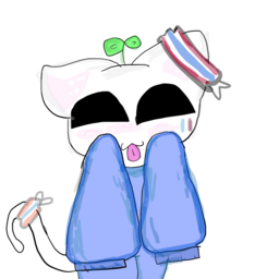 @flyingcat338