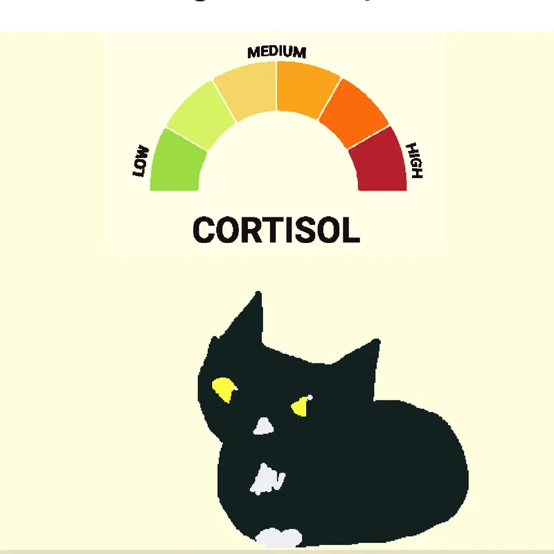Low cortisol by @blacking_pretinha