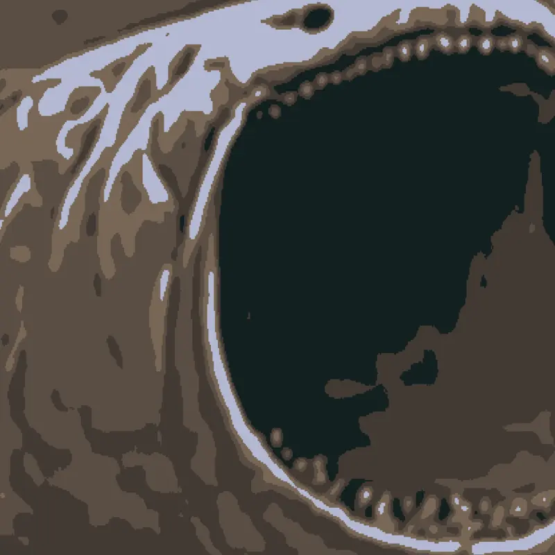 Game by @034likees