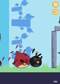 Chaotic birds