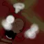 bigjollyfan avatar