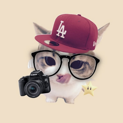 @4D3L