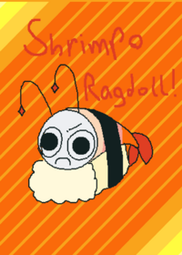 Shrimpo Ragdoll!