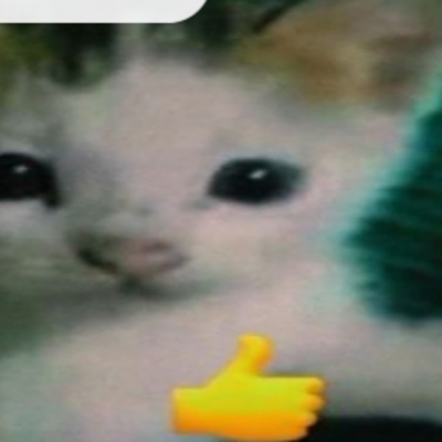 @Binkyloaf_Mania