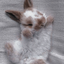 Zara_MakesGames avatar