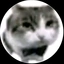 clalea avatar