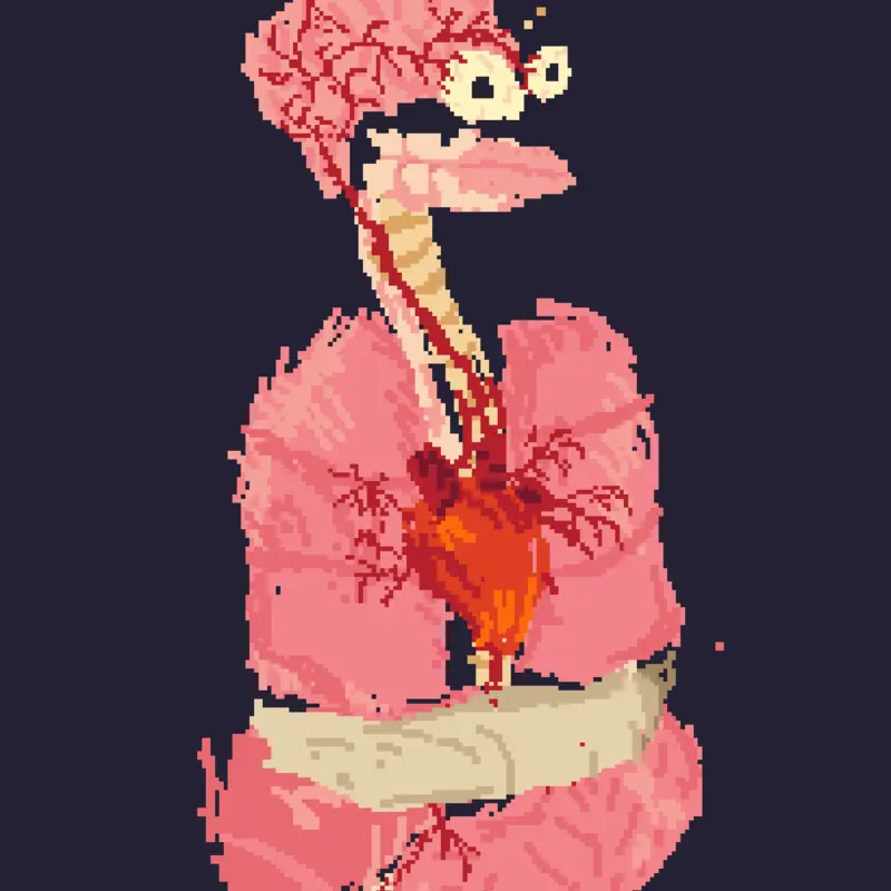 Anatomy by @Retroturned