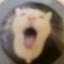 Doddle_Do avatar