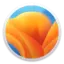 Mobby avatar