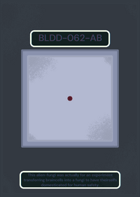 Fungi - BLDD-061-AB