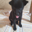 Linh_animee avatar
