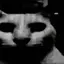 sqarey avatar