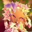 MelodieandSprout avatar