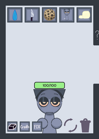 Gray Ragdoll 2.