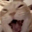 kidumial avatar