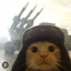 danio_37 avatar