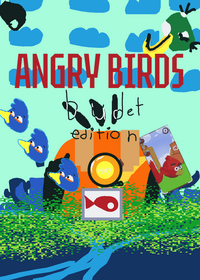 angy bords budget time