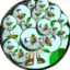 Supertoy5000 avatar