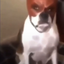 sweatycary avatar