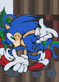 SONIC RUNNERS