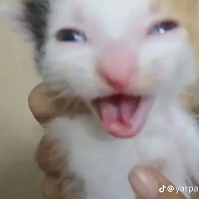 @sadiena