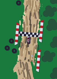 Rally in the Forest.