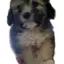 Yeraldina avatar