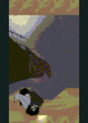 snapshot