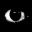 dunecacaguy7761_ref avatar