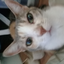 djhdje avatar