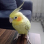 salih_123 avatar