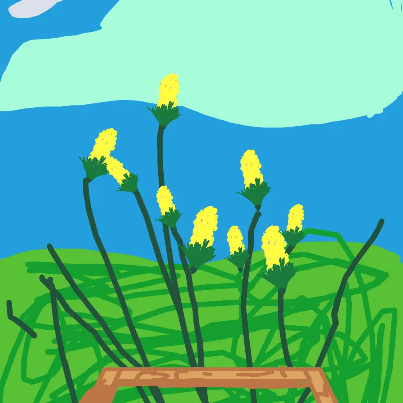 Game by @Bbiirrdd