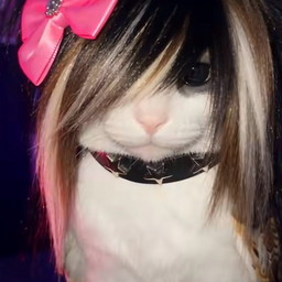 @ddlcfanthetlikecats