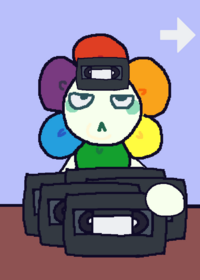 Piip