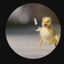 OrbitalL_ALT avatar