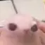 rhjgyh avatar